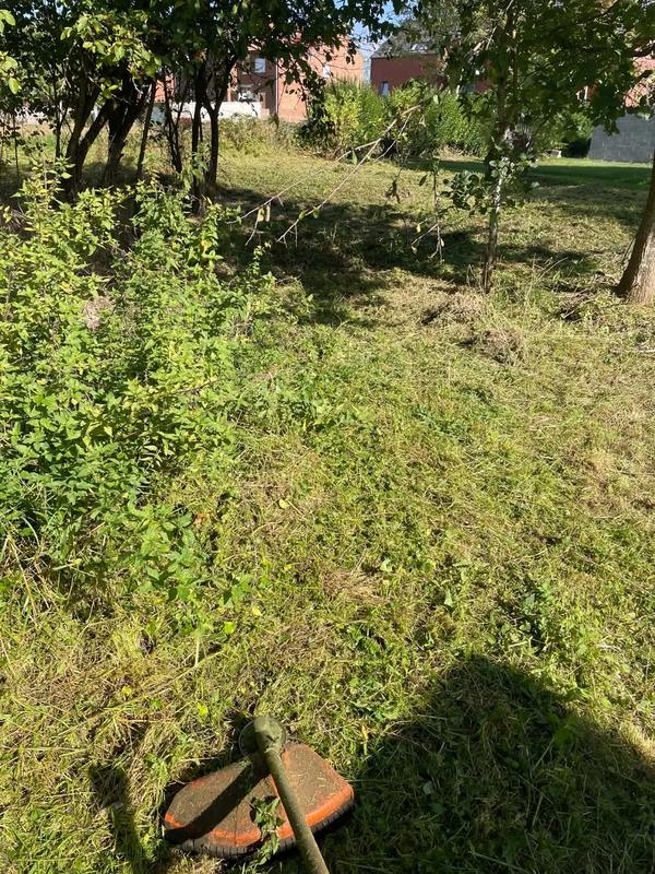 Débroussaillage en cours dans un jardin arboré, tête de la débroussailleuse au premier plan