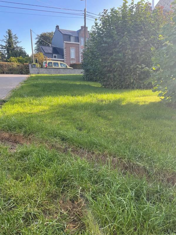 Pelouse entretenue le long d’une haie, dans le même jardin