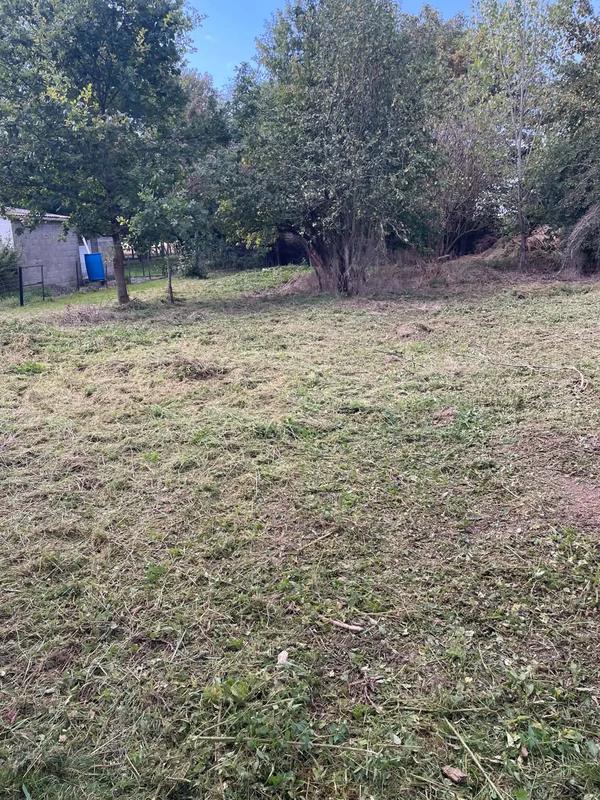 Terrain dégagé après un débroussaillage, arbres et abri de jardin en arrière-plan